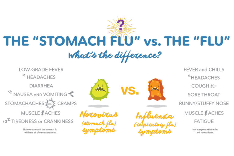 Stomach Flu vs Food Poisoning Inquire Labs